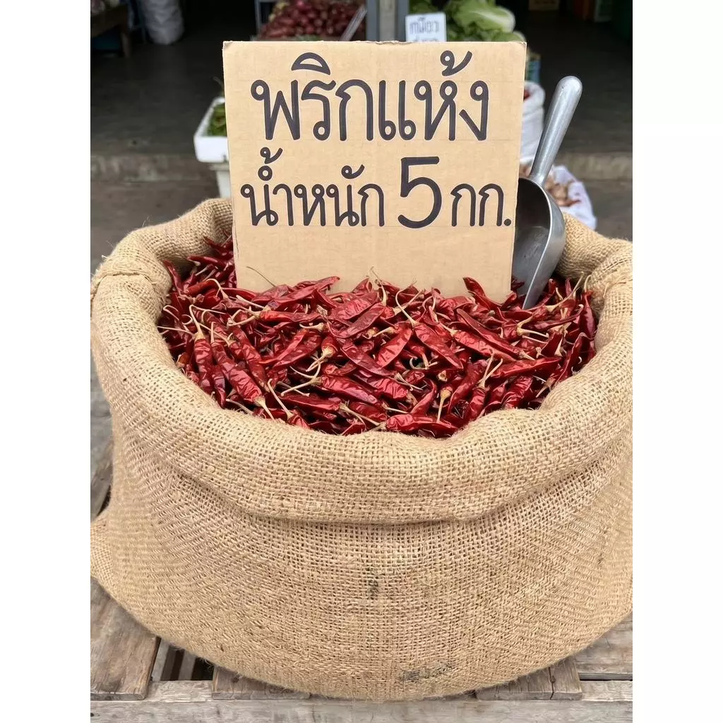 พริกแห้ง พริกจินดาก้านอ้วน น้ำหนัก 4.5-5 กก. เผ็ดกำลังดี ไม่มาก และไม่น้อยไป