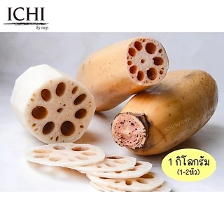 🥔 “รากบัวสด” สมุนไพรจีนมากคุณประโยชน์ (1kg.)