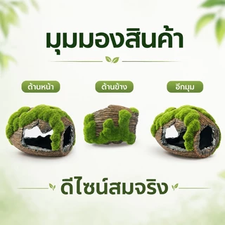 COD พร้อมจัดส่ง ถังไวน์จําลอง บ้านปลา สำหรับตู้ปลา ตกแต่งตู้ปลา อุโมงค์ปลา สำหรับตกแต่งตู้ปลา