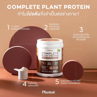 PLANTAE แพลนเต้ แพลนท์ โปรตีน ช็อคโก้ 400 กรัม