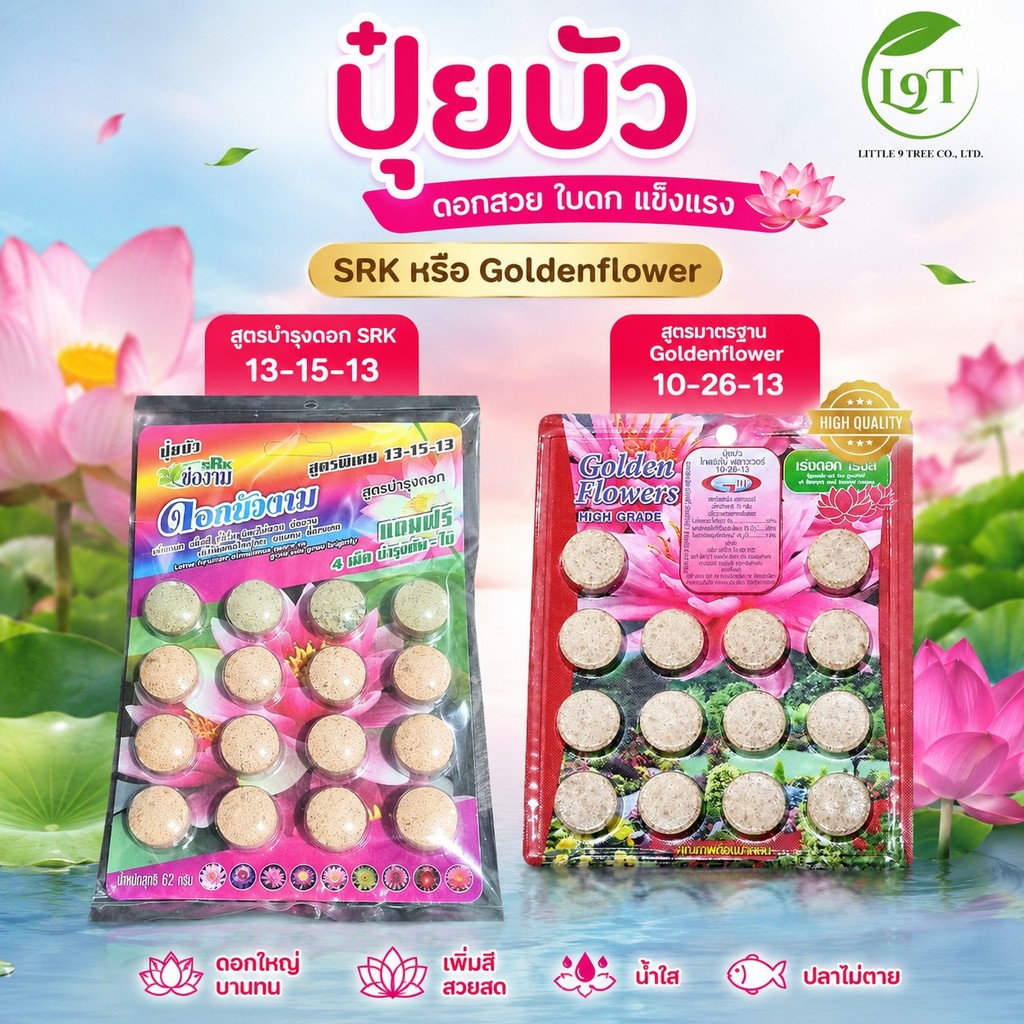 ปุ๋ยบัว เร่งดอก แผง เร่งสี ปุ๋ยบอน