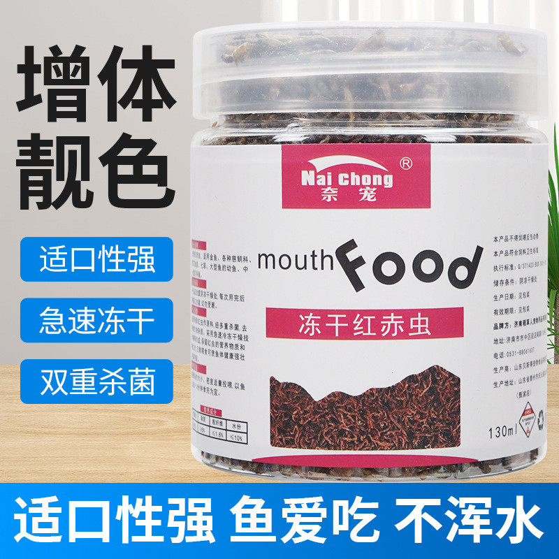 24小时发 干湿红 茶料水红六角龙观ไม้ประดับปลา鱼凤湿 红 กะระลฟรีซ-แห้งสีแดงหนอนป้อนน้ําไส้เดือนหนอนสีแดงบล็อกหกเหลี่ยม20250923