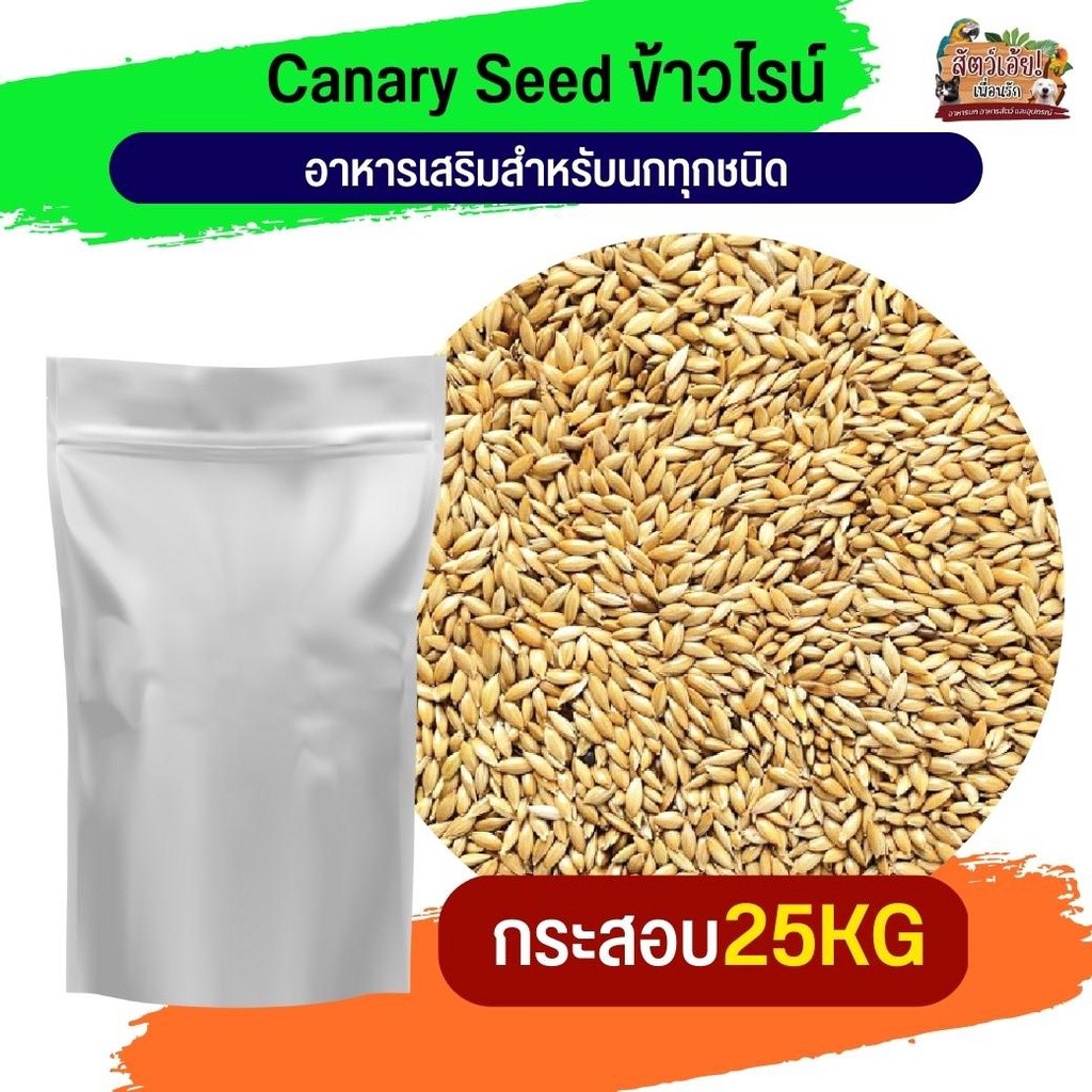 Canary Seed ข้าวไรน์ อาหารเสริมนกทุกสายพันธุ์ 25KG.