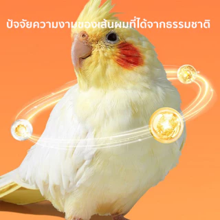 อาหารนกแก้ว 500g อาหารนกแก้วฟอพัส อาหารนกแก้วกรีนชีค อาหารนกเฉพาะ เหมาะสําหรับ อาหารนกค๊อกคาเทล