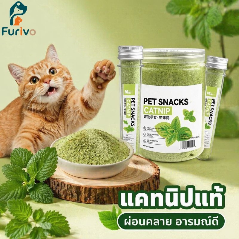 Catnip Powder Fine Ground Cat Treat ผ่อนคลาย Appetite สนับสนุนของเล่น Sprinkle Digestive Care Fur