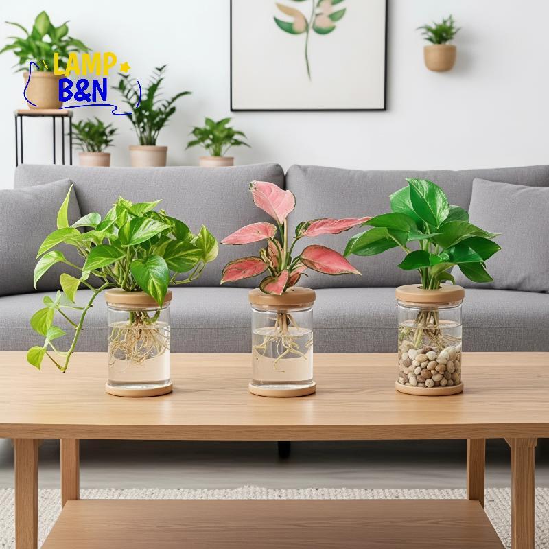 [B&N] Nordic แจกันพลาสติก Hydroponic การดูดซึมน้ําอัตโนมัติ Plant Propagation หม้อสําหรับ Home Office Desktop Greenery Decor [ใหม่]