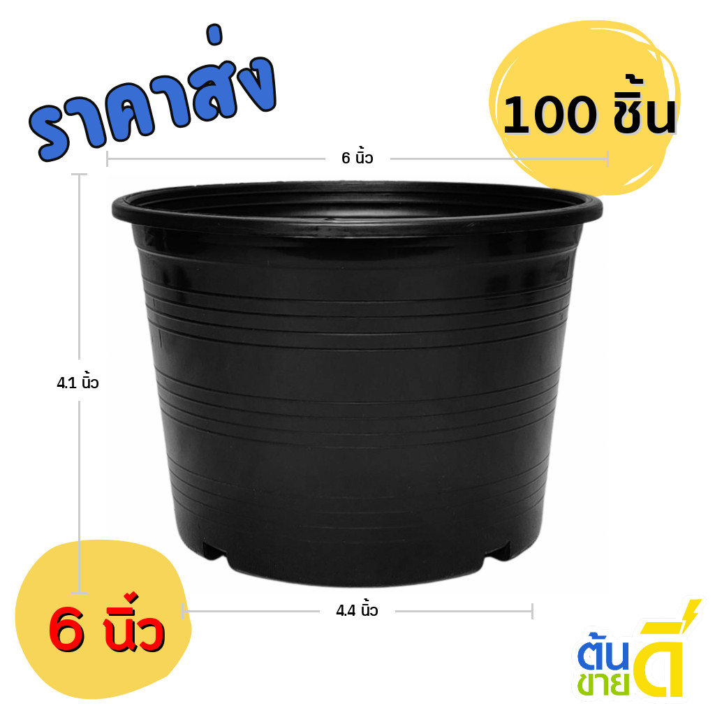 กระถาง กระถางต้นไม้ กระถางพลาสติก เบอร์ 6 นิ้ว สีดำ 100 ใบ ยกมัด