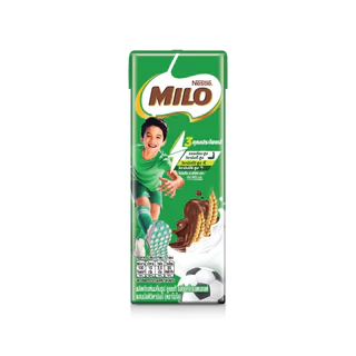MILO UHT ไมโล ยูเอชที นมช็อคโกแลตมอลต์ 165 มล. x48 กล่องต่อลัง 1 ลัง