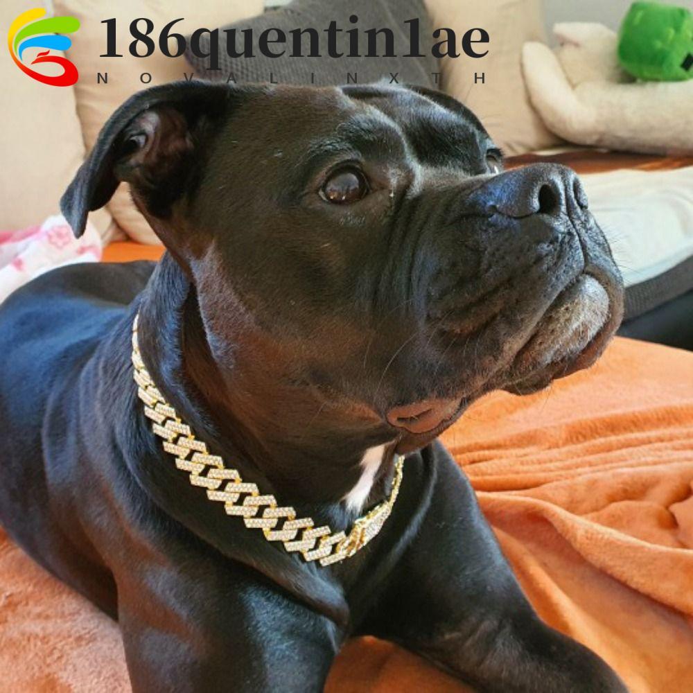 QUENTIN1AE สุนัขโซ่สร้างสรรค์ความกว้างด้วยเพชรโลหะผสมทนทานสร้อยคอสุนัข