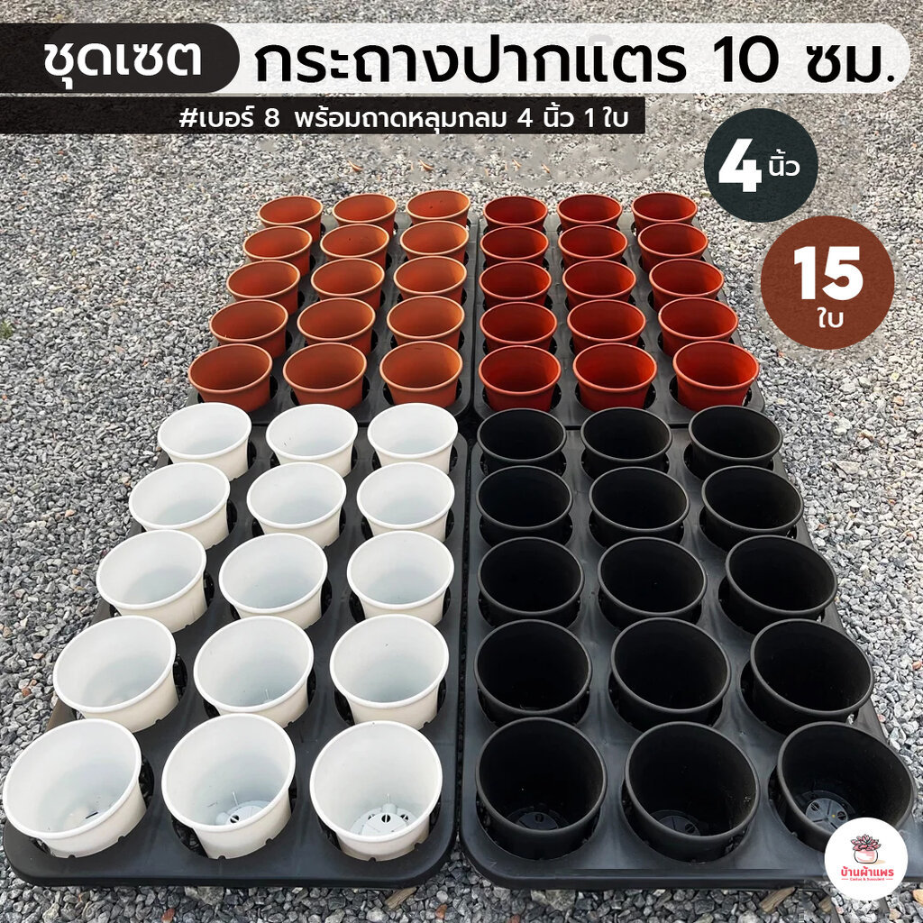 ชุดเซตกระถางปากแตร 10 ซม. #เบอร์8 15 ใบ พร้อมถาดหลุมกลม 4 นิ้ว 1 ใบ