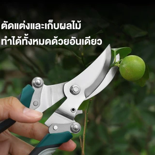 กรรไกรตัดกิ่งไม้คุณภาพสูง คมตัดดอกไม้ กิ่งพืช ทนทาน เครื่องมือทำสวนแท้ ใช้ตัดตกแต่งต้นไม้ได้หลายชนิด