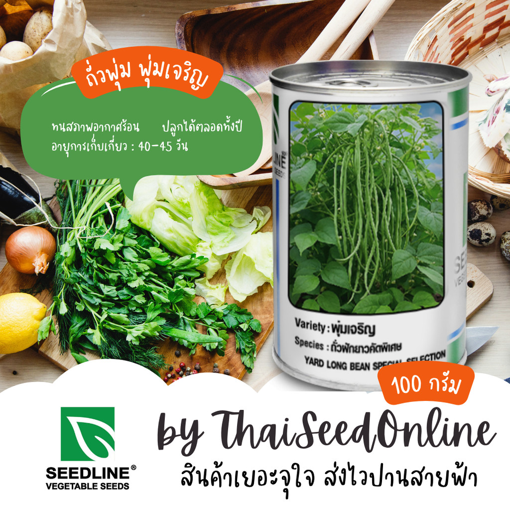 SLCOM กระป๋อง 100 กรัม ถั่วพุ่ม ถั่วไร้ค้าง ถั่วฝักยาวไร้ค้าง พุ่มเจริญ ตราซีดไลน์