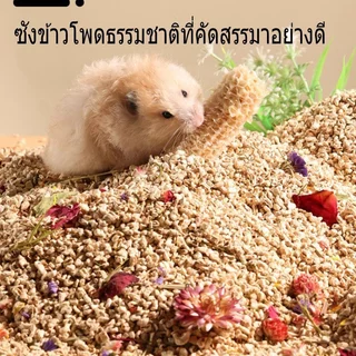 วัสดุรองกรงแฮมสเตอร์ ซังข้าวโพดธรรมชาติ แห้งไร้ฝุ่น ดูดซับกลิ่น ปูพื้นกรง หนูแฮมสเตอร์ 1000g