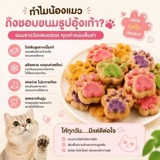 ขนมแมวเนื้อไก่ฟรีซดราย อาหารว่างแมว โปรตีนสูง ไขมันต่ำ ย่อยง่าย เหมาะสำหรับแมวทุกวัย