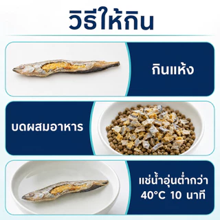 SKISOPGO ปลาไข่แมว ปลาไข่ฟรีซดราย อบแห้ง ขนมแมว ปลาไข่เต็มตัว ขนมแมว ธรรมชาติ แมวชอบมาก