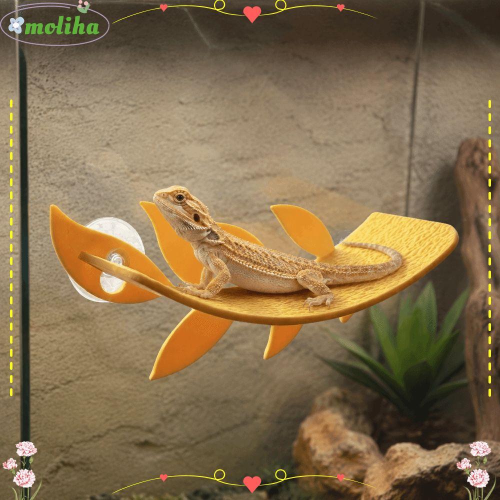 MOLIHA Lizard Habitat Leaf, ใบจําลองรูปร่างถ้วยดูดสัตว์เลื้อยคลาน Habitat Leaf, PLA สัตว์เลื้อยคลาน 