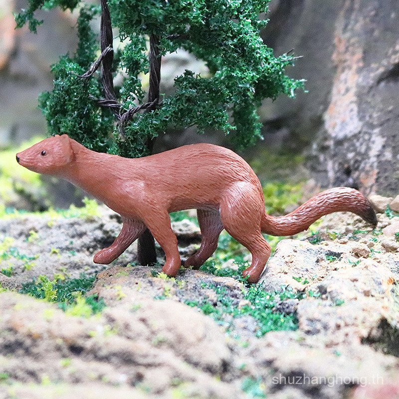 ของเล่นเด็กจําลองสัตว์ป่ารุ่น Solid Weasel Wolf Weasel เครื่องประดับ