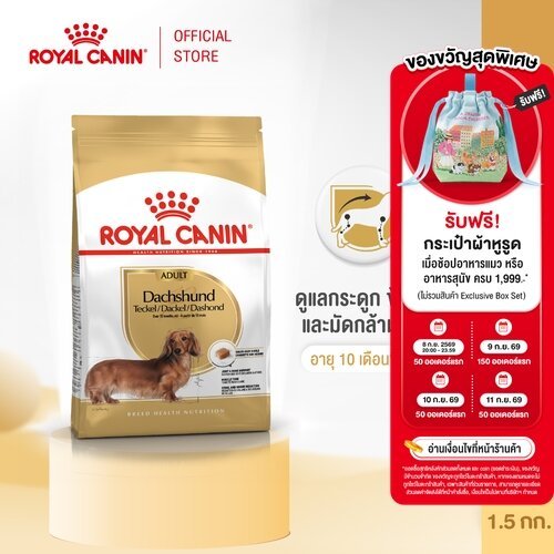 Royal Canin Dachshund Adult 1.5kg อาหารเม็ดสุนัขโต พันธุ์ดัชชุน อายุ 10 เดือนขึ้นไป (Dry Dog Food, โรยัล คานิน)