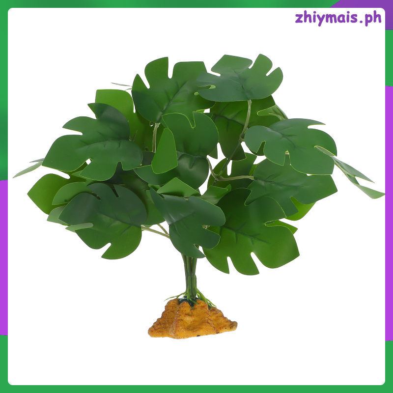 Terrarium Bearded Dragon Plants Aquarium ตกแต่ง zhiymais