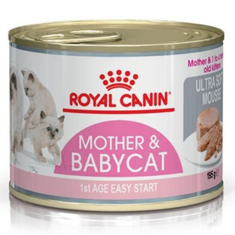 Royal Canin طعام قطط رطب للأمهات والصغيرة — صورة 2