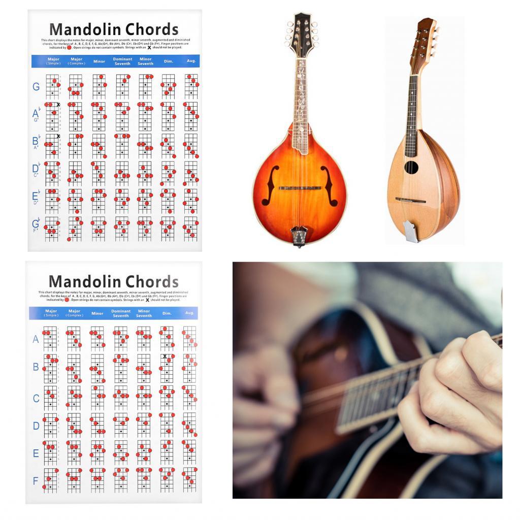 Mandolin Chord Chart หมายเหตุ Fret Board เครื่องดนตรีอุปกรณ์เสริมสำหรับผู้เริ่มต้น
