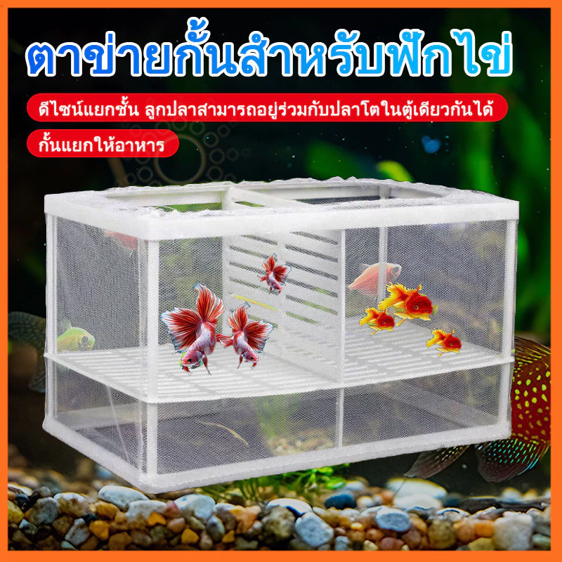 กล่องตาข่ายแยกปลา แยกปลาป่วย ลูกกุ้ง กล่องฟักไข่ปลา thumbnail 4