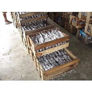 เชื้อเห็ดฟาง อีแปะอีหยิบ ขั้นต่ำ 10 ถุง(ชุดทดลองปลูก)(พร้อมจัดส่ง)แถมเพิ่ม 2 ถุง