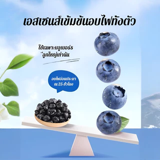 🍇ของว่างเพื่อสุขภาพ🍇บลูเบอร์รี่แห้ง ไร้เมล็ด อุดมไปด้วยสารอาหาร ขนมขบเคี้ยวเพื่อสุขภาพ พกพาสะดวก เหมาะสำหรับคนทำงานและนักเรียน บลูเบอร์รี่แห้ง/ช่วยปกป้องดวงตา/ไม่มีสารเติมแต่ง/ต้านอนุมูลอิสระ