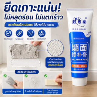 SKY ครีมซ่อมผนัง อุดรอยร้าว โป๊วผนัง ซ่อมรูตะปู ซ่อมปูนแตก แห้งไว 250 กรัม Wall Repair Paste