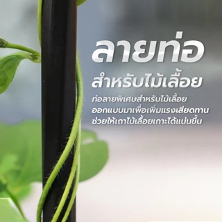 （ราคาขายส่ง）95cm/145cm*28cm ซุ้มกุหลาบ ซุ้มกุหลาบเลื้อย โครงกุหลาบเลื้อย ซุ้มไม้เลื้อย เหล็กแข็งแรง ท่อเหล็กเคลือบ PE