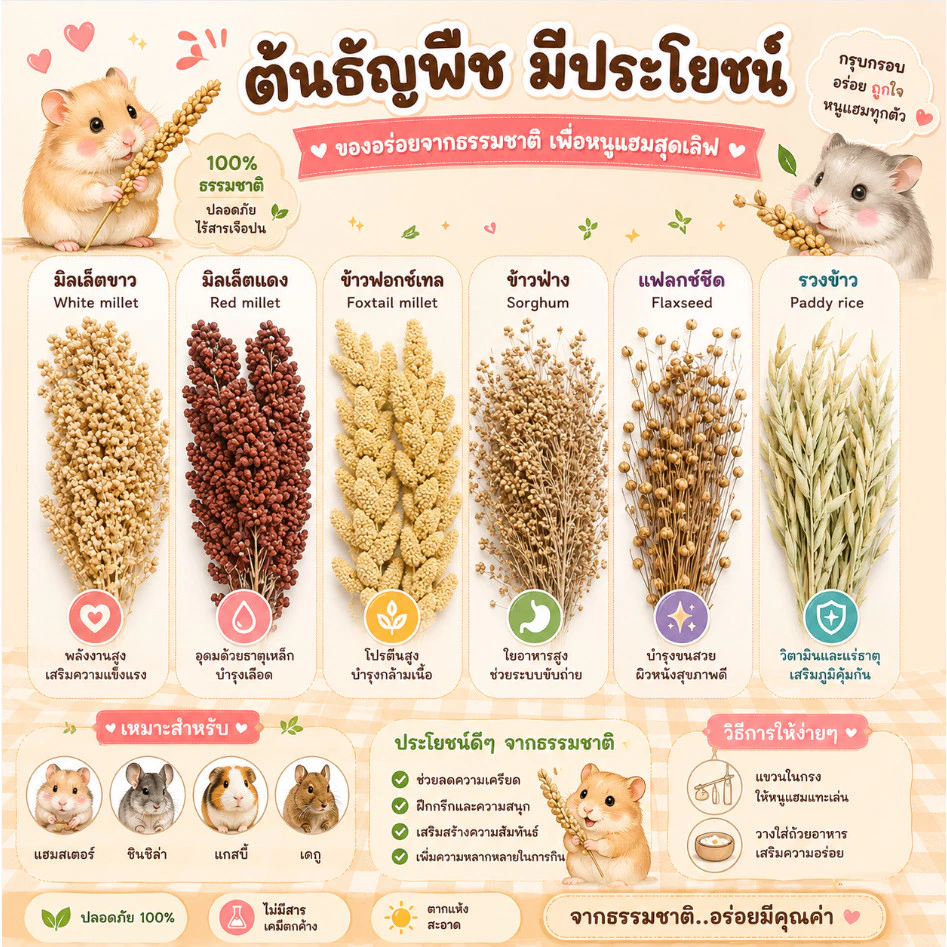crazy pet shop🐹Flaxseed มิลเล็ตขาว/แดว ข้าวฟ่าง รวงข้าว ธัญพืช สำหรับแฮมสเตอร์