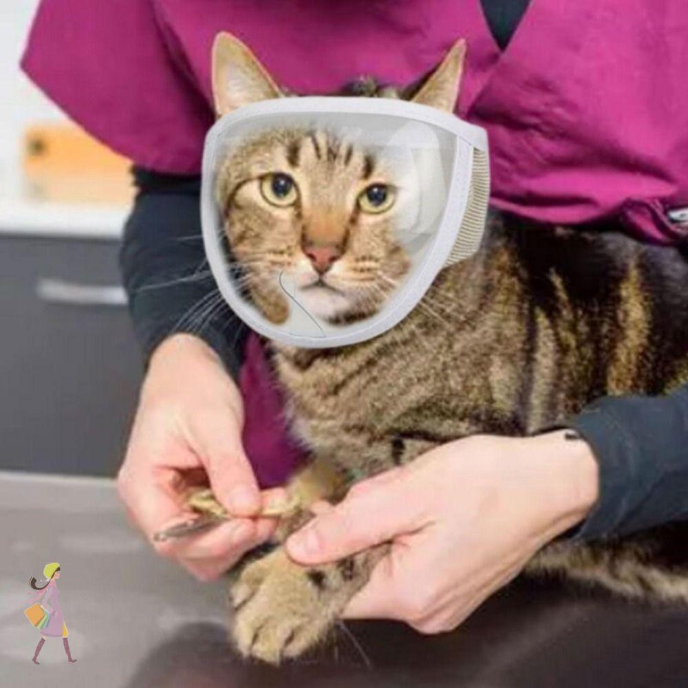 YGBG Cat Muzzle Chewing Safety Transparent Anti Bite Mouth Guard