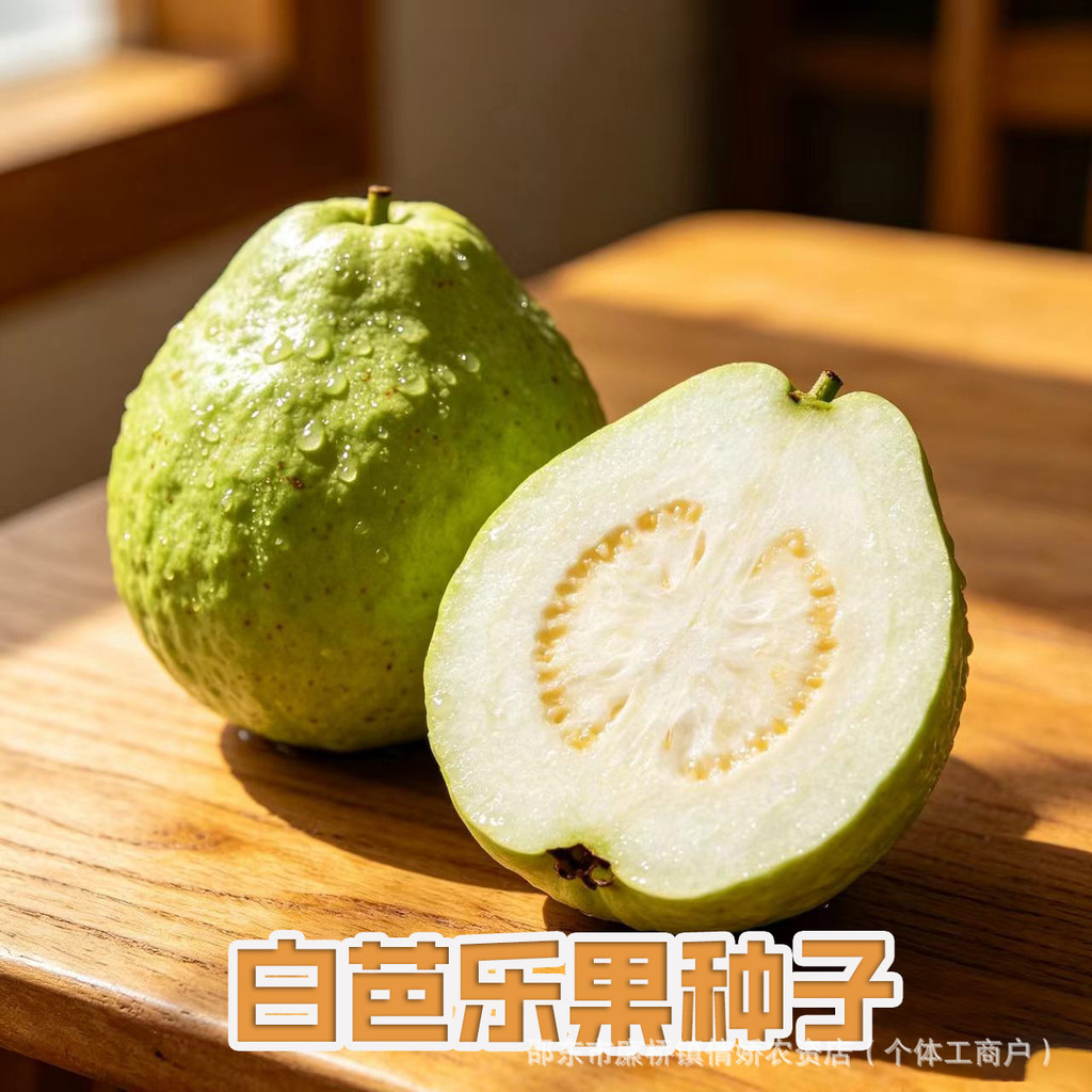 现货热卖香甜白芯乐果种子白心芭乐奶油冰淇淋番石榴软糯脆甜瓜果农家蔬菜Sweet white core dimethoate seeds white heart guava cream ice20260