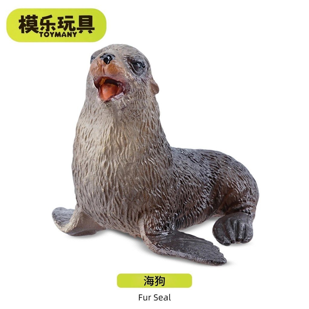 ของเล่นตุ่น TOYMANY Mini Sea Dog Sea Life Series จําลองสัตว์รุ่นของเล่นเด็ก