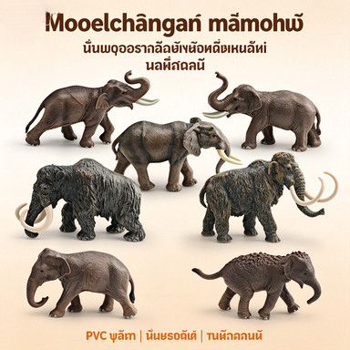 โมเดลสัตว์ป่าจำลอง ความรู้เด็ก ช้างแมมมอธชายเอเชีย ช้าง ของตกแต่งของเล่น