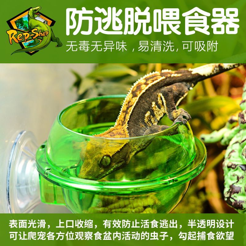 สัตว์เลื้อยคลาน Anti-Escape Feeder อ่างอาหาร Escape Lizard Gecko เต่าขนมปังอ่างอาหารแขวน Anti-Escape