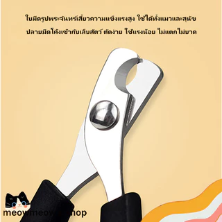 STOCK กรรไกรตัดเล็บสัตว์เลี้ยงใหม่ ✨ สำหรับแมวและสุนัข 🐾 รุ่น PicoQ ตัดง่าย ปลอดภัย ใช้งานสะดวก