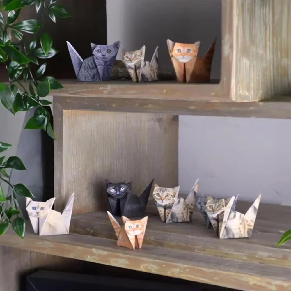 Creative DIY กระดาษสัตว์พับ Handmade DIY กระดาษแมวสุนัขไดโนเสาร์พับกระดาษชุดน่ารัก Origami Craft Kit สําหรับของขวัญเด็ก ราคา ถูกที่สุด ดีลบีเคเค แกลเลอรีภาพที่ 2