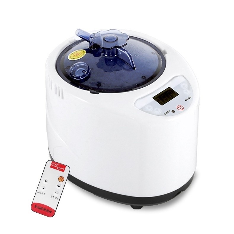 Sauna Steamer Pot 2.6 L Portable Sauna Generator for Sauna Home SPA Fumigation Steam Machine