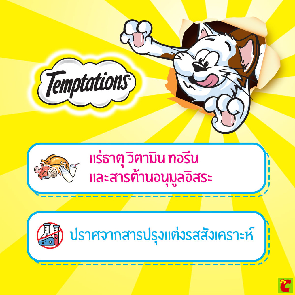 Temptations حلوى قطط بالسلمون 160 غ — صورة 5