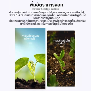 [ซื้อ1แถม1] ปุ๋ยกระตุ้นดิน สารปรับปรุงดิน บำรุงราก ปรับค่า pH ดิน ช่วยให้ดินร่วนซุย ใช้ได้กับผัก ดอกไม้ ไม้ผล มีแบบกระปุ