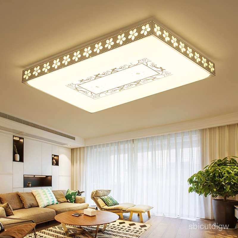 Living Room led Simple modern bedroom round rectangular living room balcony entrance acrylic ceiling