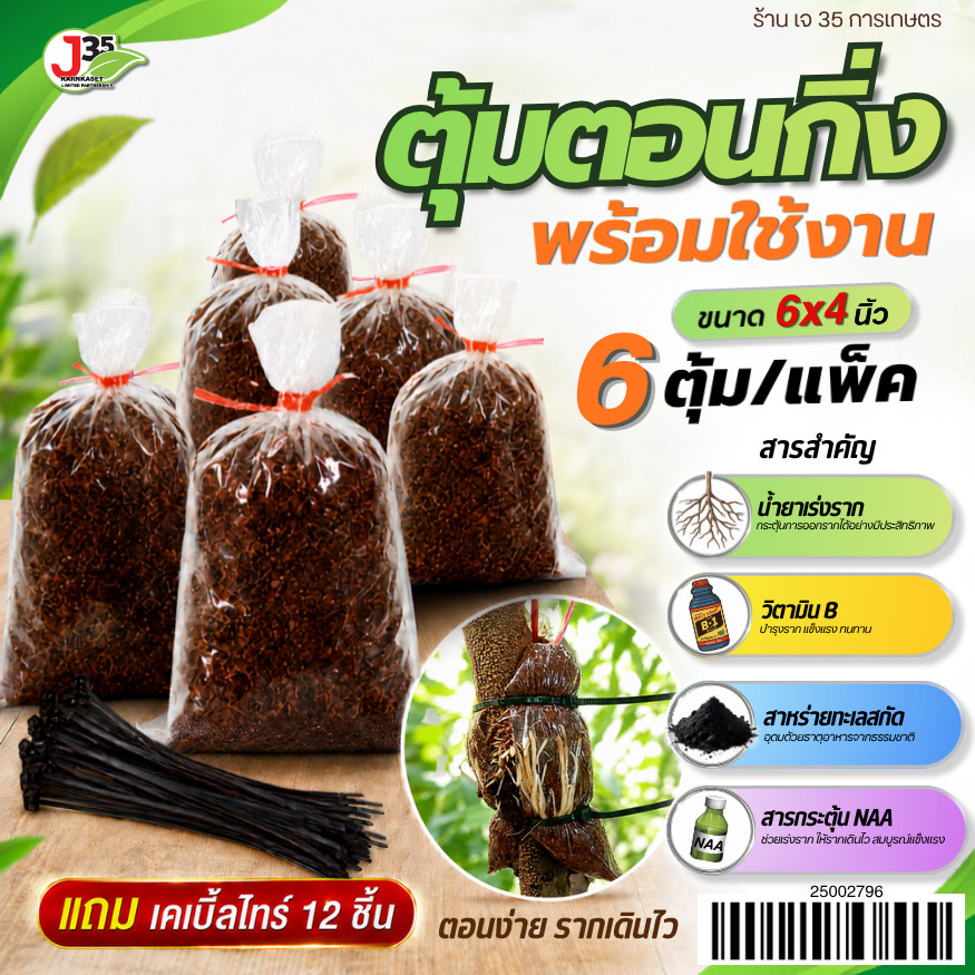 (6ตุ้ม) ตุ้มตอนกิ่ง 6X4 นิ้ว แถมเคเบิ้ลไทร์ 12 เส้น ถุงตอนกิ่ง ขุยมะพร้าวตอนกิ่ง แช่น้ำยาเร่งรากแล้ว รากพุ่ง รากติด