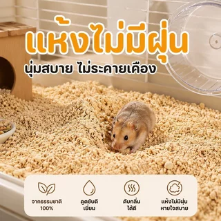 วัสดุรองกรงแฮมสเตอร์ ซังข้าวโพดธรรมชาติ แห้งไร้ฝุ่น ดูดซับกลิ่น ปูพื้นกรง หนูแฮมสเตอร์ 1000g