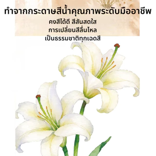 การ์ดฝึกร่างลายดอกไม้สีน้ํา 8 ชิ้น | กระดาษหนา 300ก เหมาะสําหรับผู้เริ่มต้น | ออกแบบหูง่ายสามารถติดตั้งได้ | หนังสือ แบบฝึกหัดวาดภาพสีน้ํา