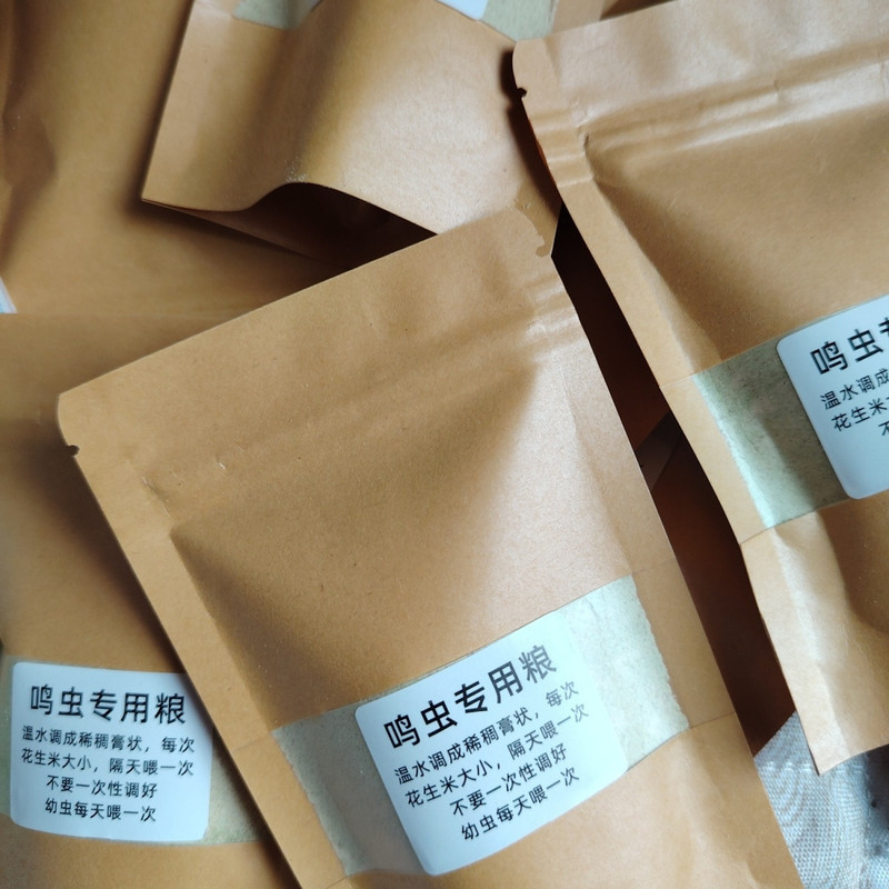[Beetle Feed] Beetle Feedพิเศษ Beetle Feed Oil Gourd Bowl 8.8.22