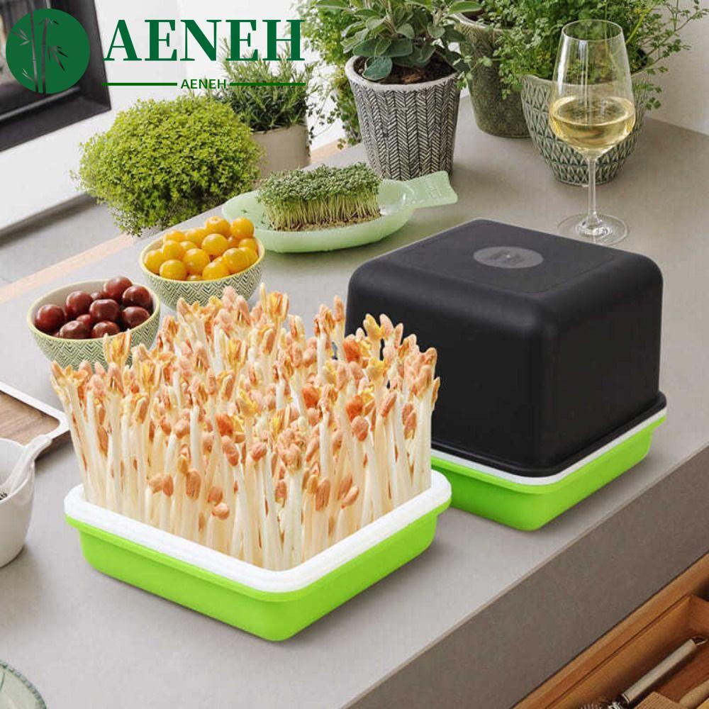 AENEH ถาดต้นกล้า Breathable Multifunctional ถั่วลิสงกระเทียม Bean Sprout พืชอุปกรณ์สวน