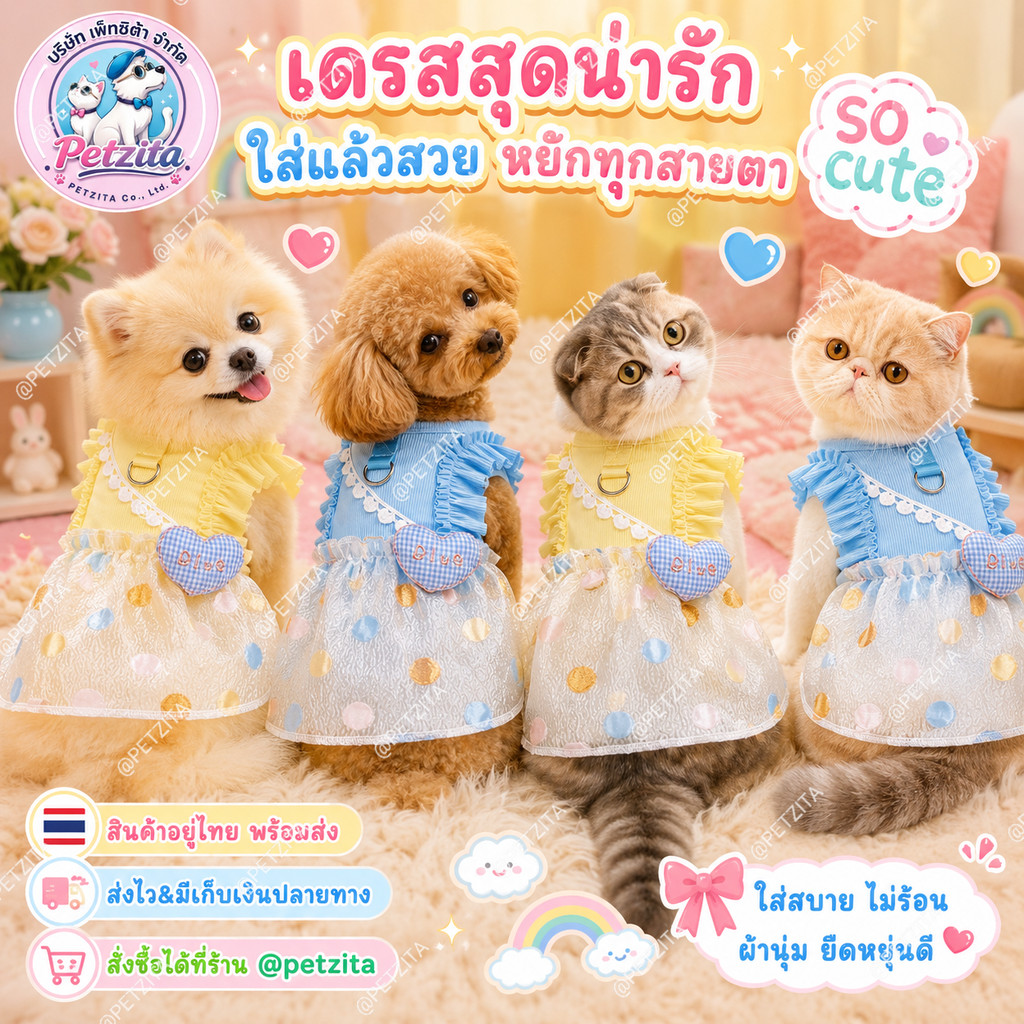 พร้อมส่ง เดรสคุณหนูดีเทลน่ารัก สีสันสดใส for pet เดรสสุนัข ชุดหมา ชุดแมว เสื้อผ้าสัตว์เลี้ยง