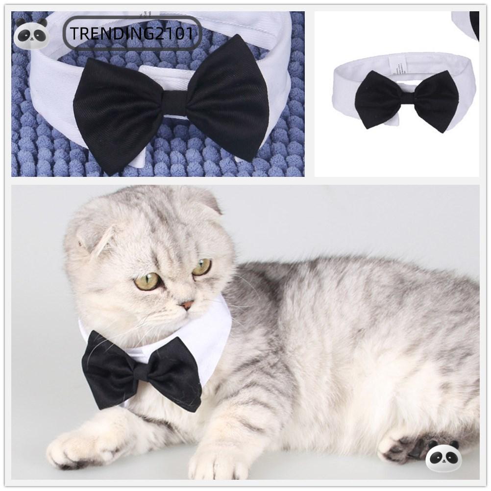 กําลังมาแรง Cat Tuxedo Collar ชุดปรับได้ Puppy Cat ลูกแมวสัตว์เลี้ยง Tuxedo อย่างเป็นทางการ