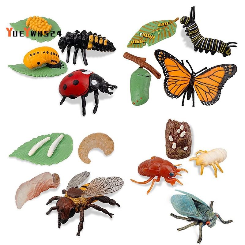 [ขายดีที่สุดY4]16PCSแมลงFigurines Life Cycle of Butterfly,,,Cicada,Ladybug,พลาสติกการศึกษาโครงการโรง